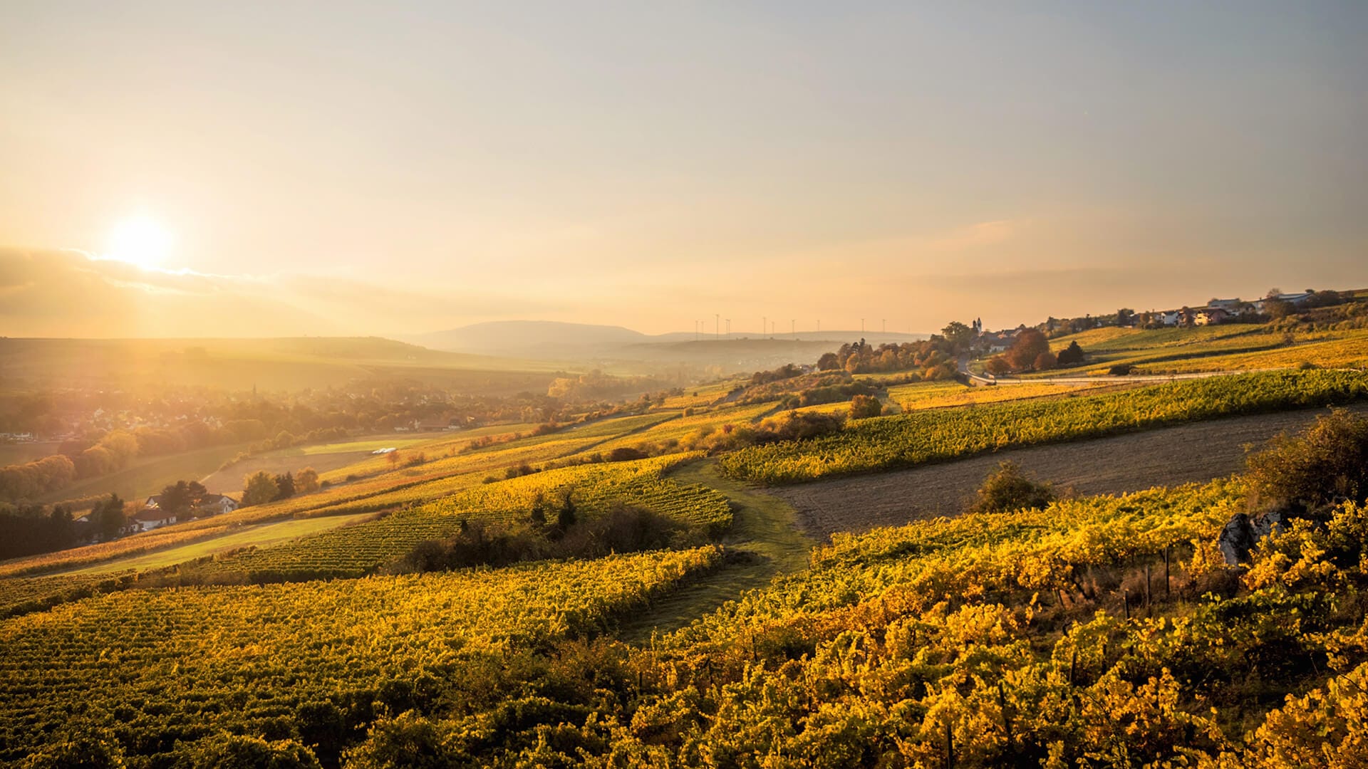 Domaine Levert-Barault